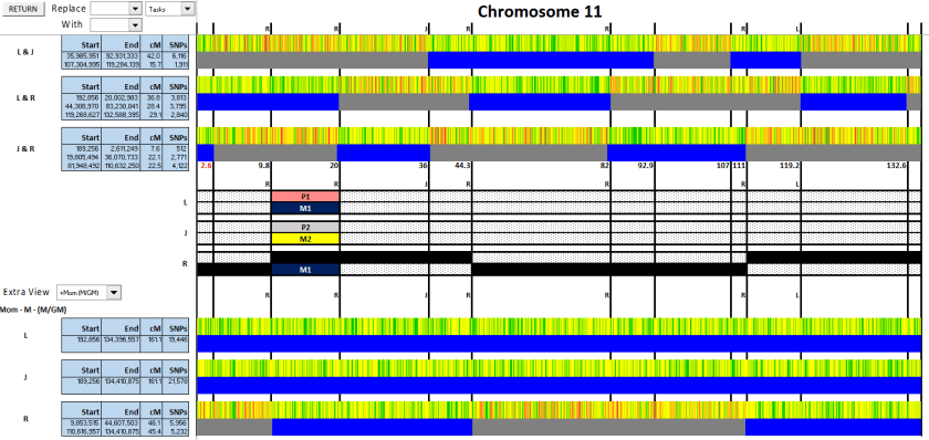 VP11 - Fig 4
