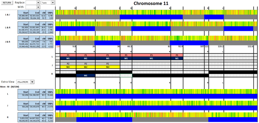 VP11 - Fig 5