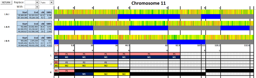 VP11 - Fig 7