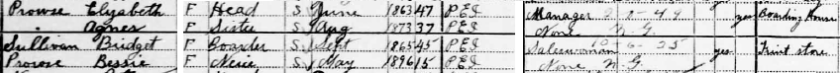 1911 Census.png
